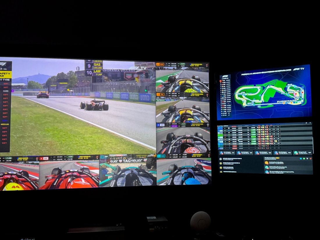 D-Rex's viewing setup